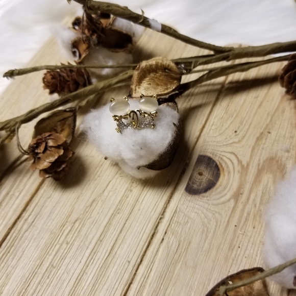 💥💥HOST PICK💥💥🐱🐈Very Cute Cat earrings with CZ's in CREAM 🐱🐈 - Picture 10 of 11